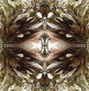 ornamento raro