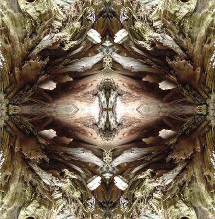 Ornamento raro