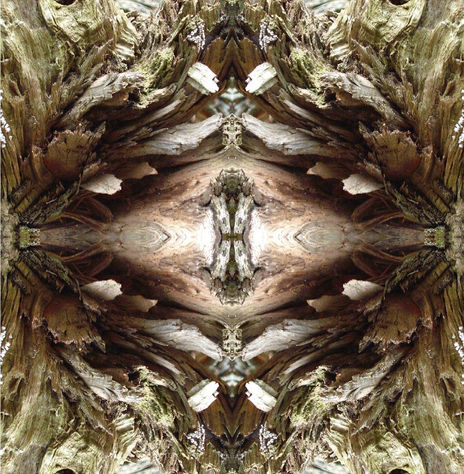 Ornamento raro