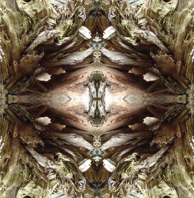 ornamento raro
