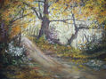 paisaje