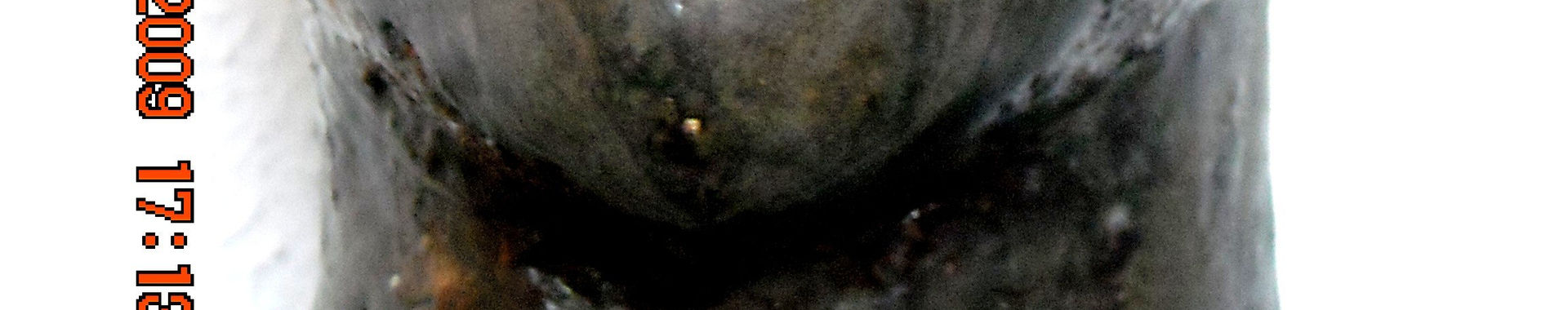 Imagen de portada