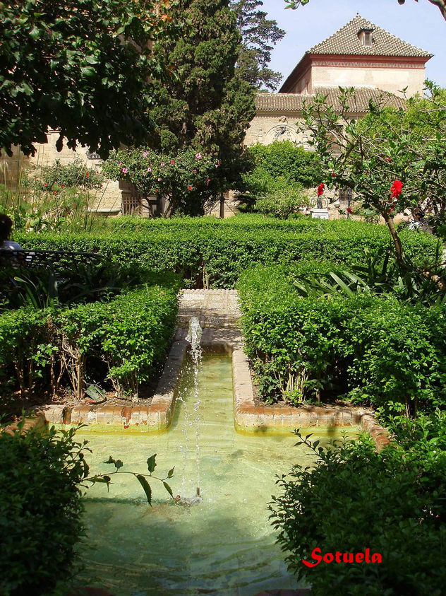 Málaga jardines de La Catedral
