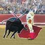 Toro A fin (Serie: “De toros y otras capas”)