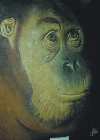 Orangután