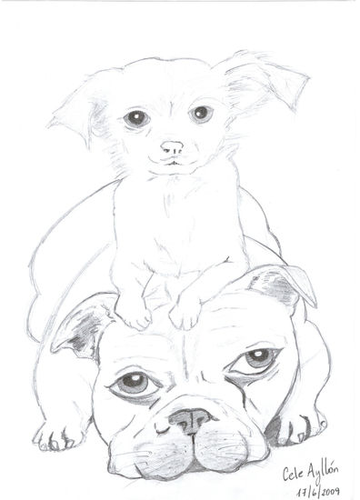 perritos Pencil