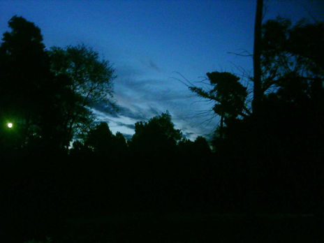 La noche en el...