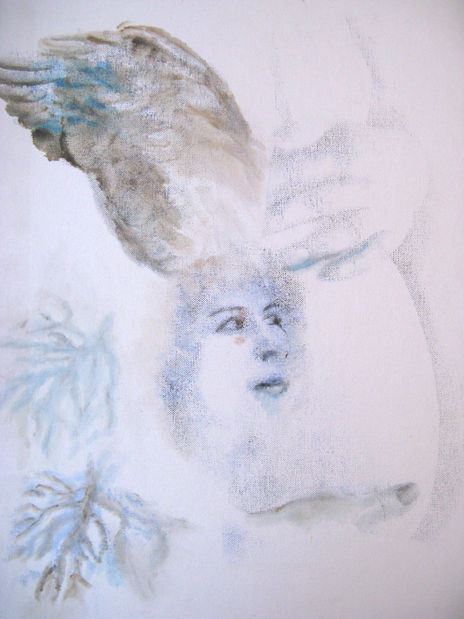 Raices y alas