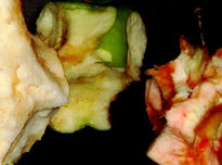 Degradacion 8