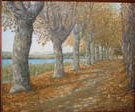 Paseo de banyoles