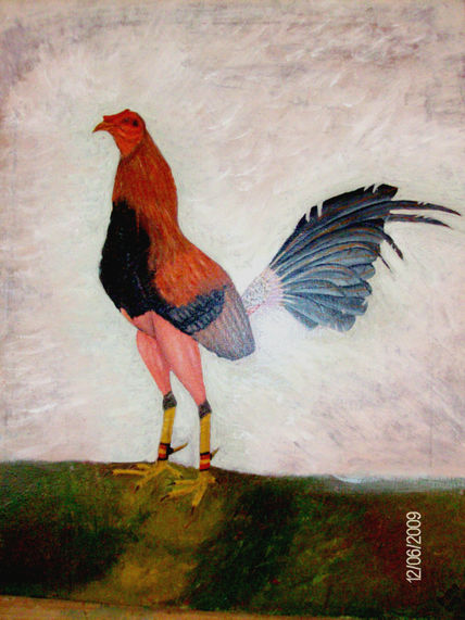 Gallo de pelea