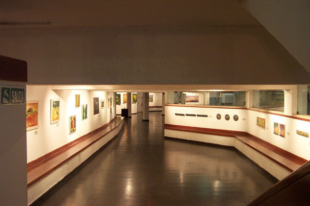 En el Centro Cultural  Virla de la Universidad Nacional