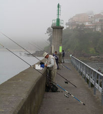 Mañana de pesca