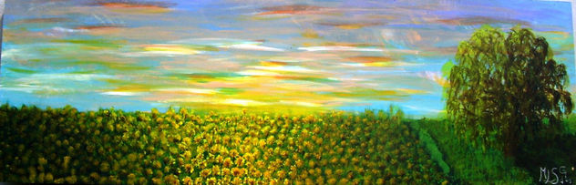 CAMPO DE GIRASOLES