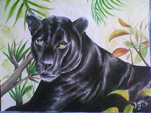 PANTERA