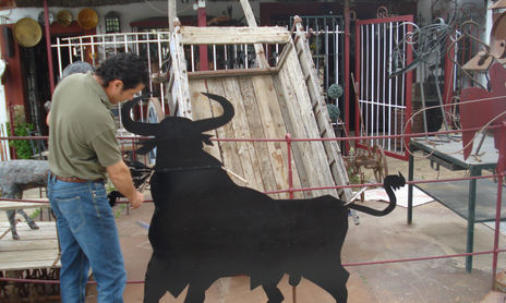 toros