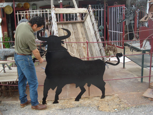 toro