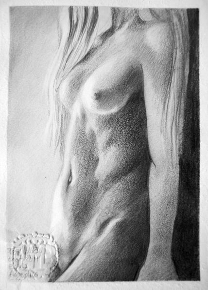 Pequeño Torso Femenino