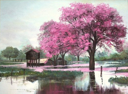 Lapacho rosa Oil Canvas Landscaping