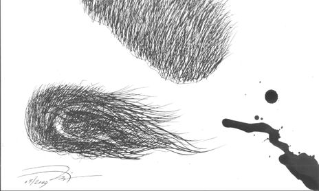 DOG'S VISION