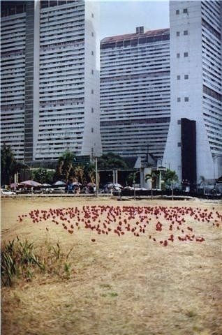 Las amapolas en Bellas Artes 