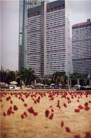 Las amapolas en Bellas Artes 