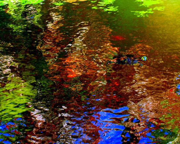 AGUA Nature Color (Digital)