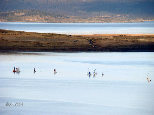 Regata en la bahía de Ushuaia Nature Color (Digital)