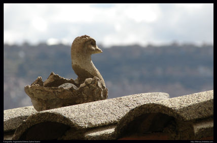 Patito