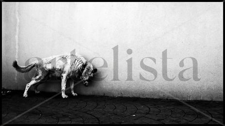 Contra la pared
