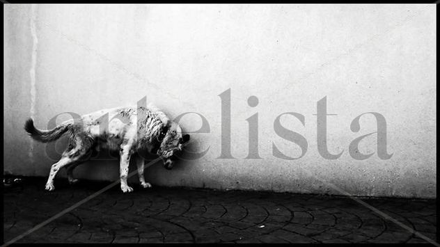 contra la pared