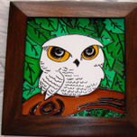 PAJAROS thumbnail 1