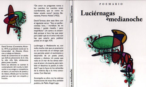 Luciérnagas a medianoche