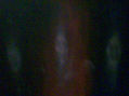 COMALA