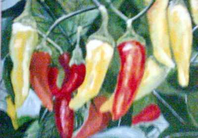 Pimientos1 Oil Canvas