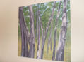 El bosque encantado