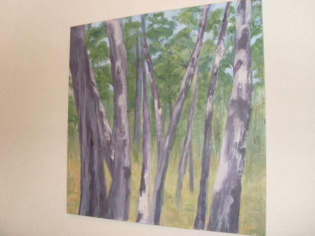 El bosque encantado