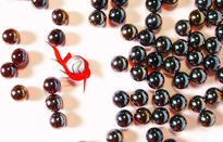 Colección del artista