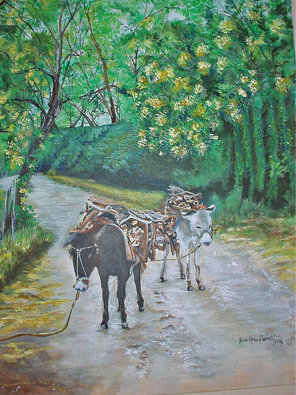 Burros