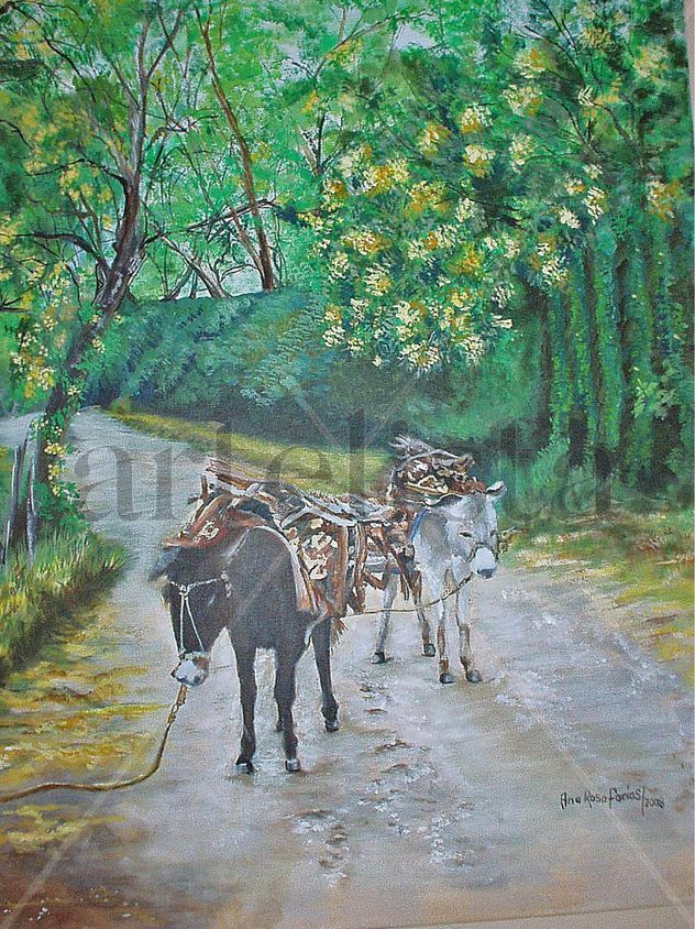 Burros