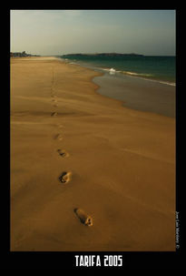 Tarifa