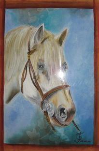 Caballo blanco