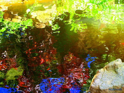Agua