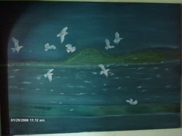 Aves en los Roques Oil Canvas