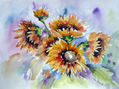 Girasoles