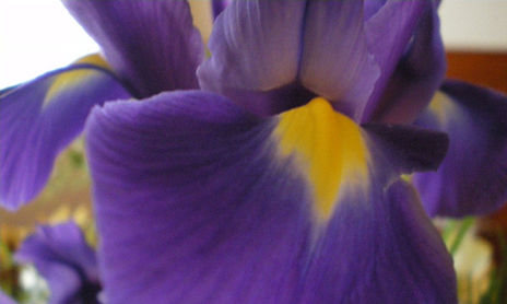 FOTOS