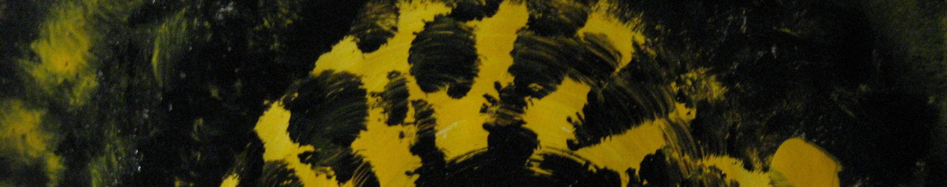 Imagen de portada