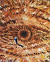 mirada al interior
