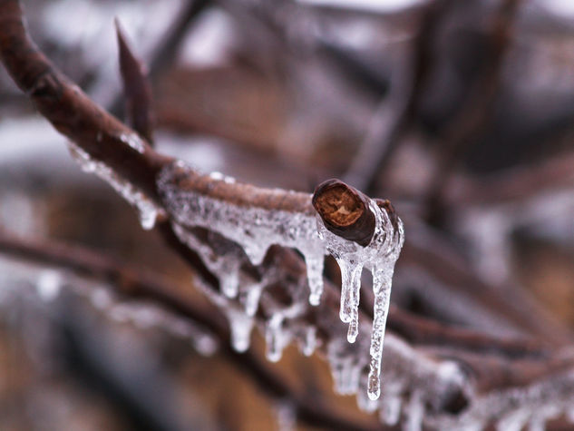 Y la tarde se hizo hielo... 