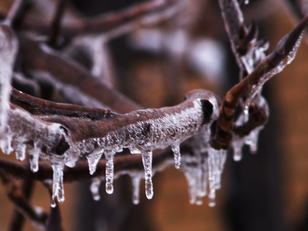 Y la tarde se hizo hielo II 